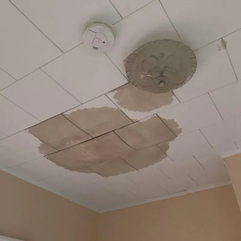 Ceiling Water Damage Repair in Foard County, TX