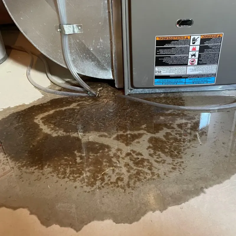 Pipe Burst and Leak Restoration in Foard County, TX