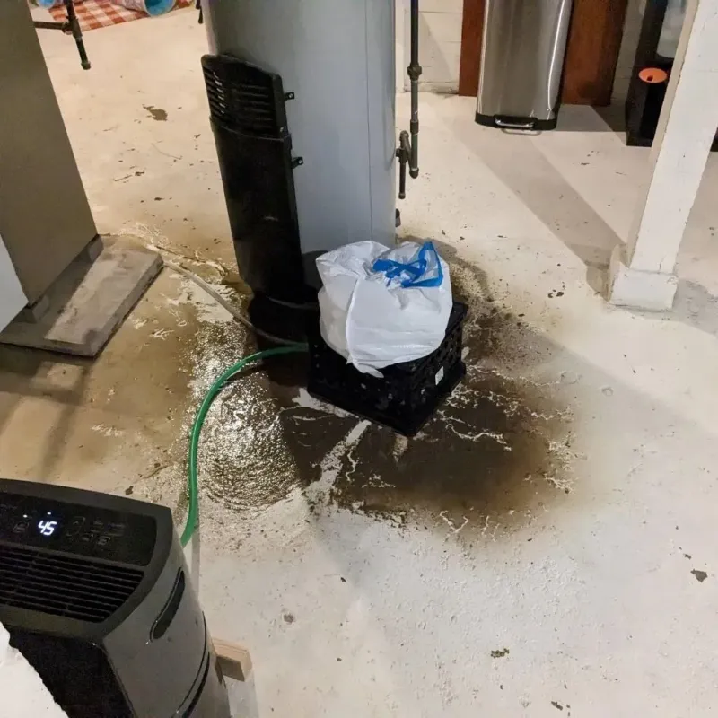 Sewage Backup Cleanup Service in Foard County, TX
